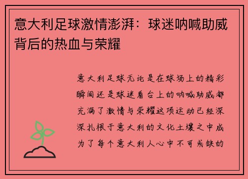 意大利足球激情澎湃：球迷呐喊助威背后的热血与荣耀